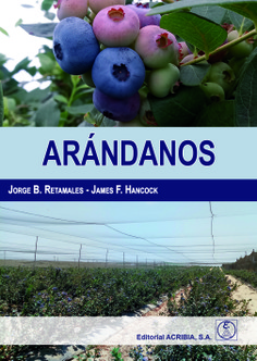 ARÁNDANOS ARÁNDANOS