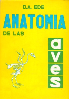 Anatomía de las aves Anatomía de las aves