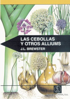 Las cebollas y otros alliums Las cebollas y otros alliums