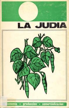 La judía verde (Economía, producción y comercialización) La judía verde (Economía, producción y comercialización)