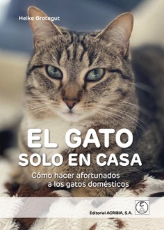 EL GATO SOLO EN CASA