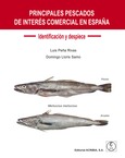 PRINCIPALES PESCADOS DE INTERÉS COMERCIAL EN ESPAÑA