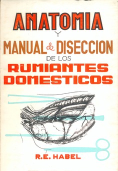 Anatomía y manual de disección de los rumiantes domésticos
