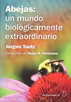 Abejas: un mundo biológicamente extraordinario